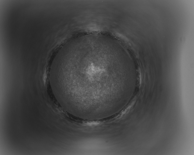 X0000089701157200706281449