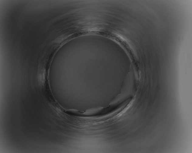 X0000089701161200706281449