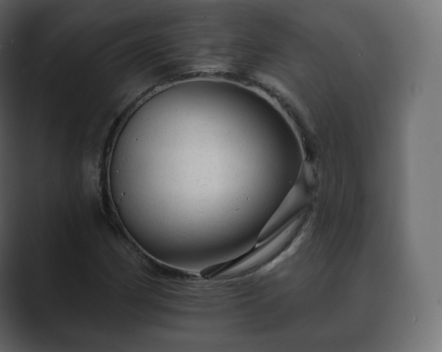 X0000089701162200706281449