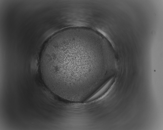 X0000089701163200706281449