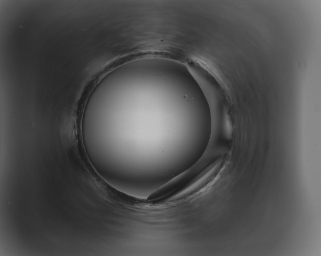 X0000089701164200706281449