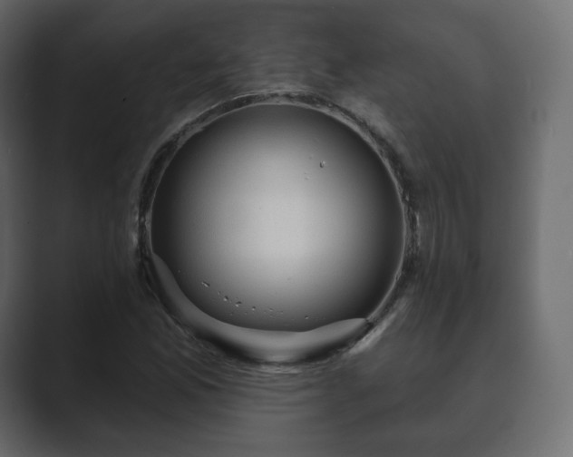 X0000089701165200706281449