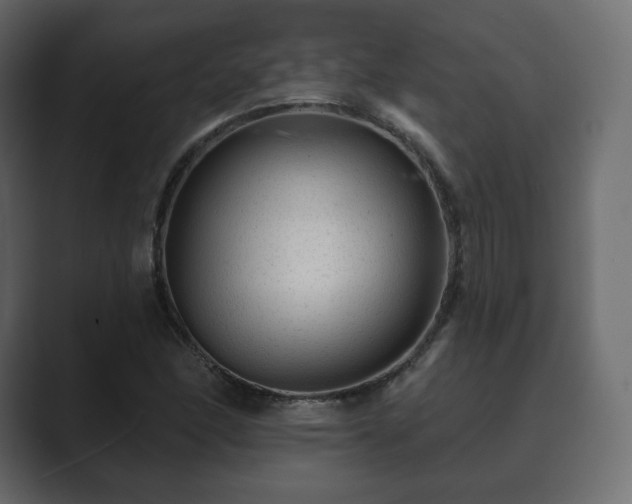 X0000089701166200706281449