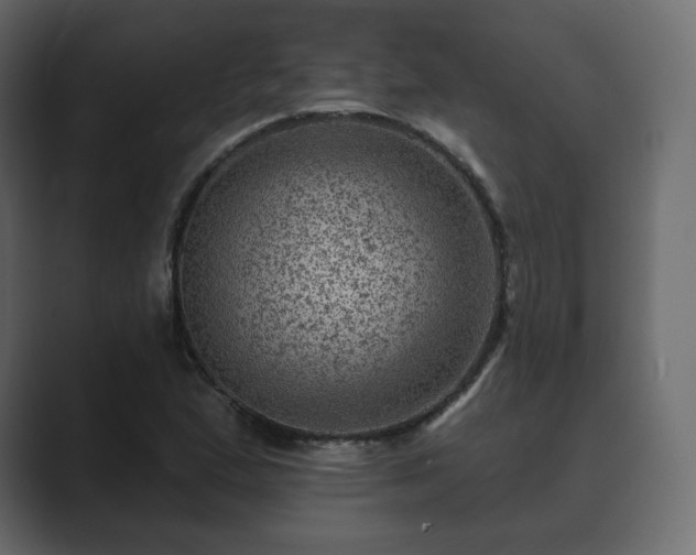 X0000089701167200706281449