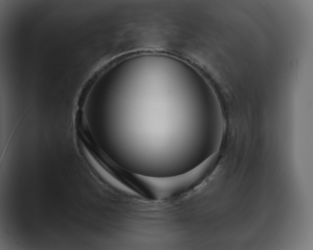 X0000089701168200706281449