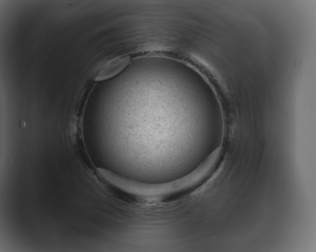 X0000089701169200706281449