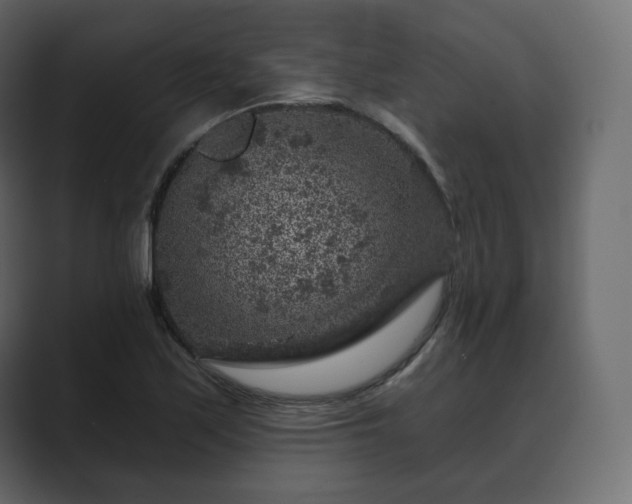 X0000089701171200706281449