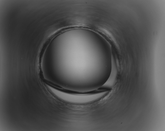 X0000089701172200706281449