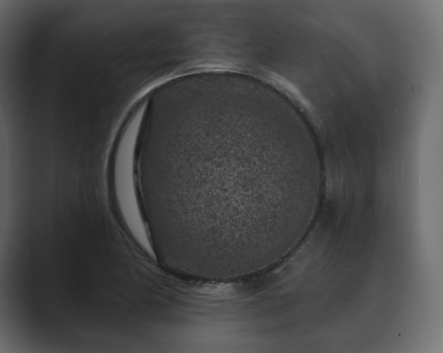 X0000089701174200706281449