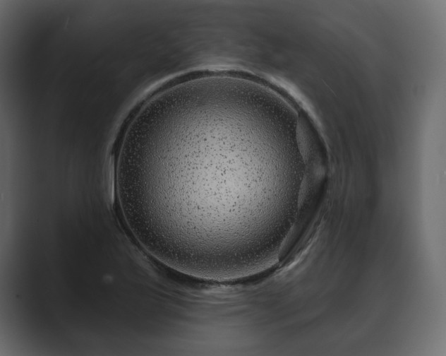 X0000089701175200706281449