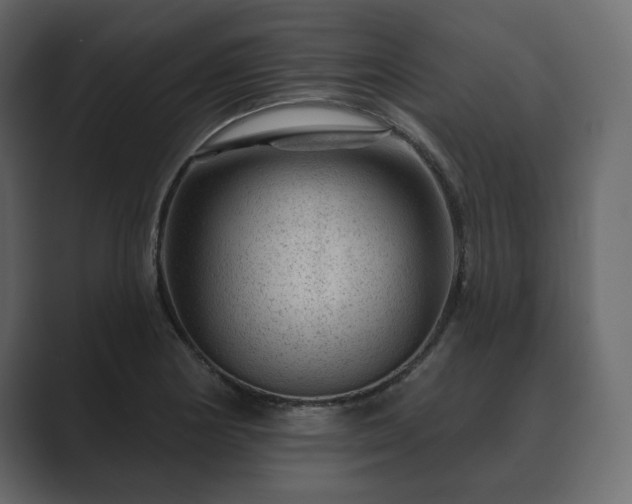 X0000089701178200706281449