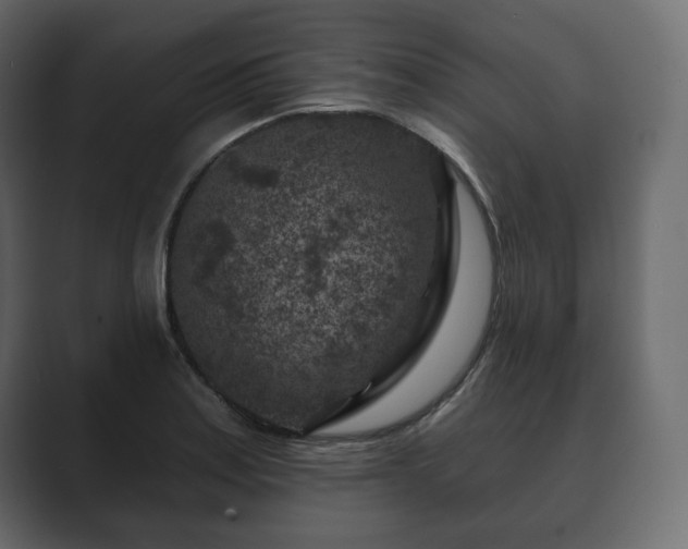 X0000089701179200706281449