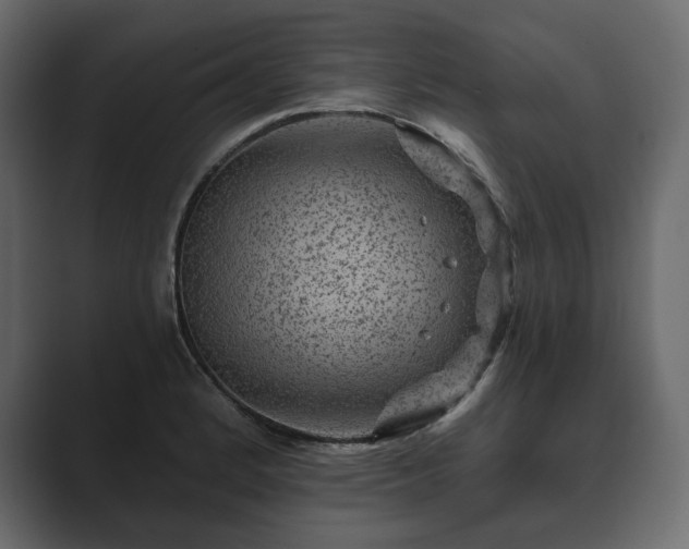 X0000089701184200706281449