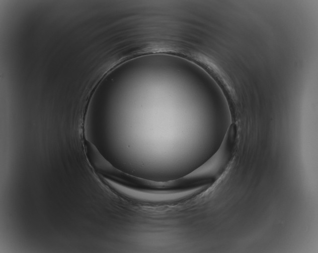 X0000089701185200706281449