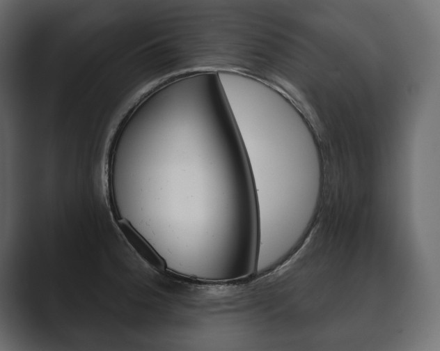 X0000089701188200706281449