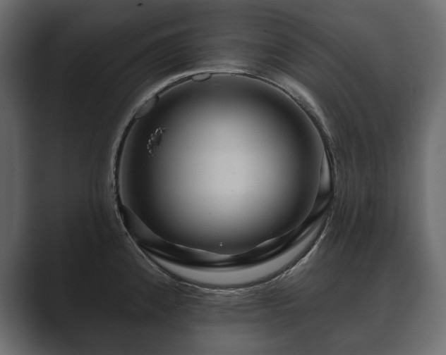 X0000089701192200706281449