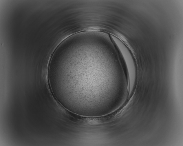 X0000089701194200706281449