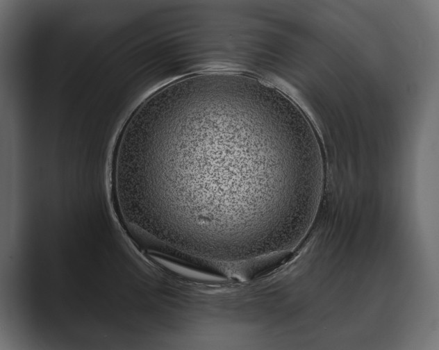 X0000089701195200706281449