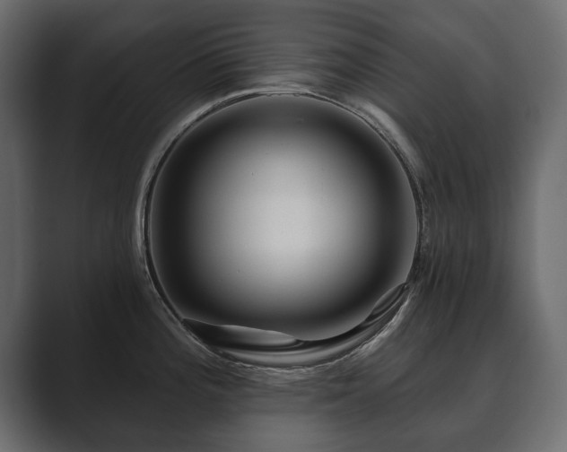 X0000089701196200706281449