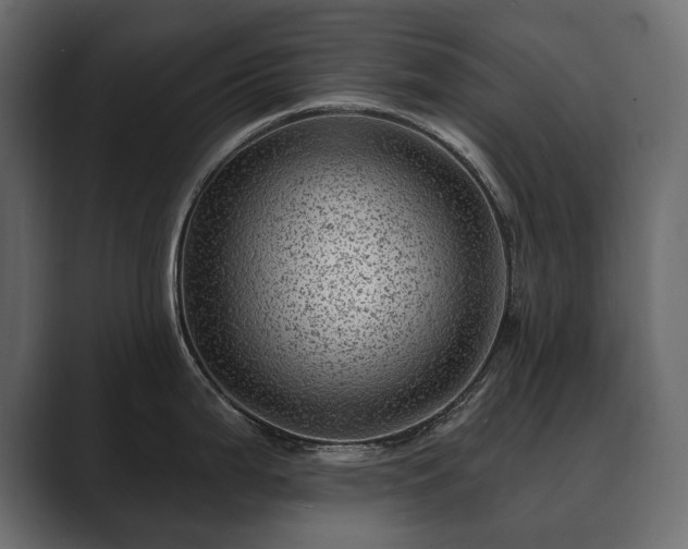 X0000089701199200706281448