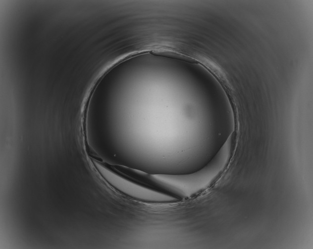 X0000089701200200706281448