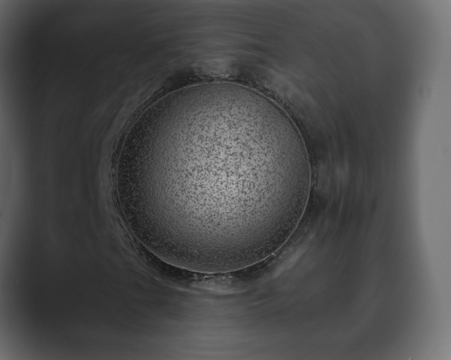 X0000089701201200706281448