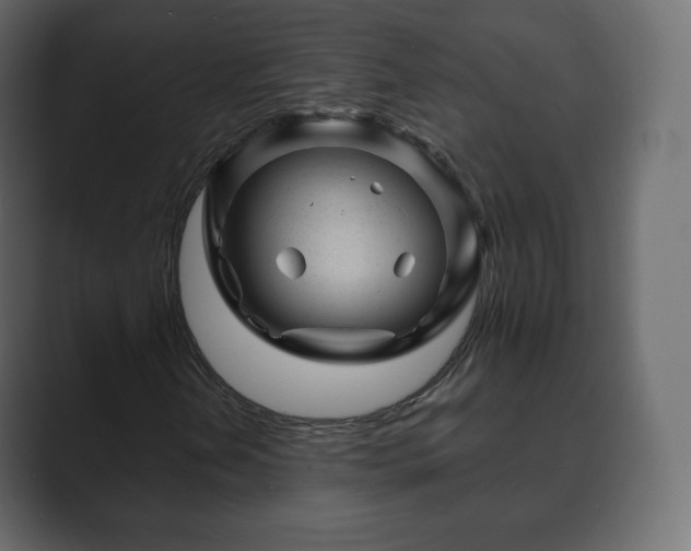 X0000089701202200706281448