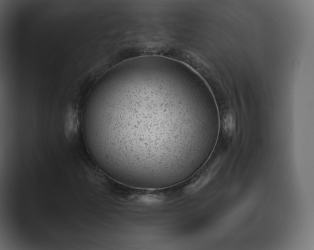 X0000089701204200706281448