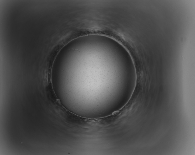 X0000089701205200706281448