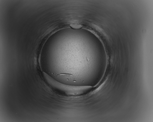 X0000089701209200706281448