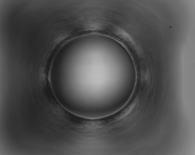 X0000089701210200706281448