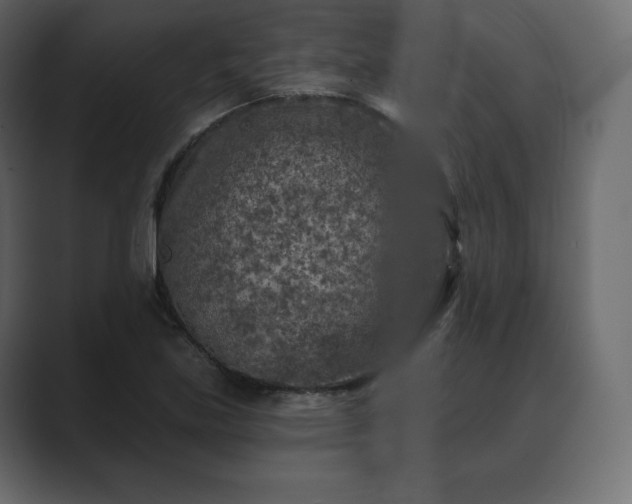 X0000089701219200706281448