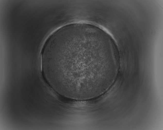 X0000089701223200706281448