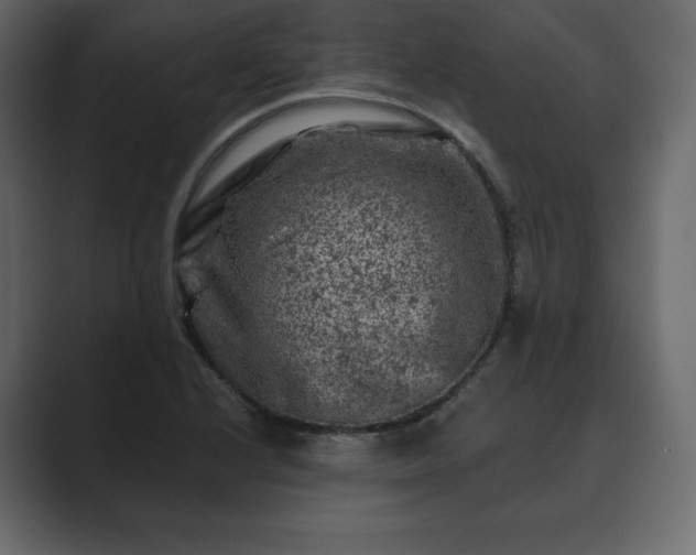 X0000089701224200706281448