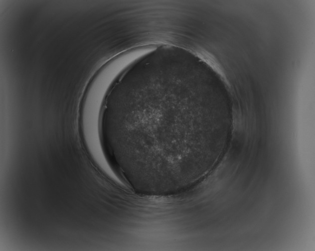 X0000089701226200706281448