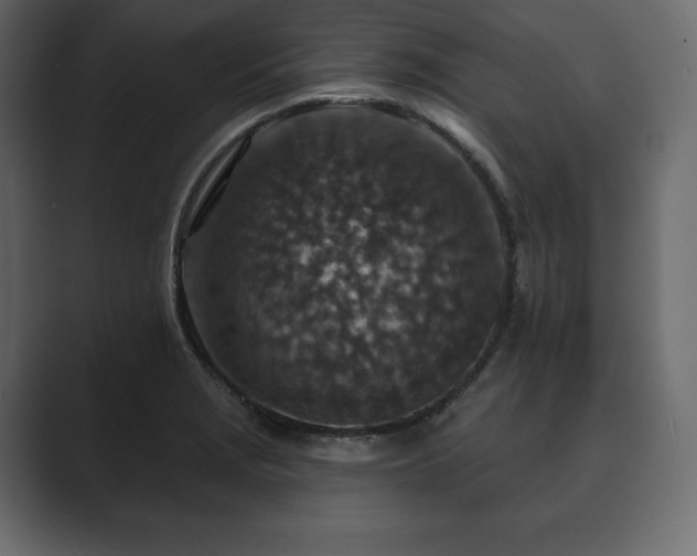 X0000089701229200706281448