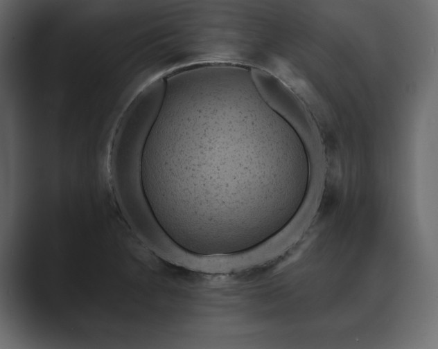 X0000089701230200706281448