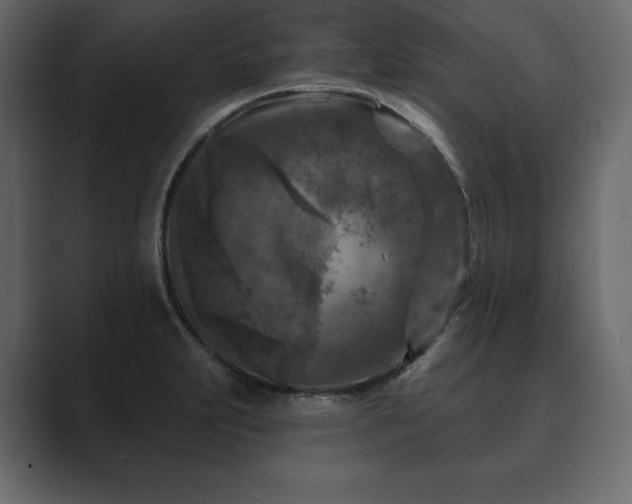 X0000089701231200706281448