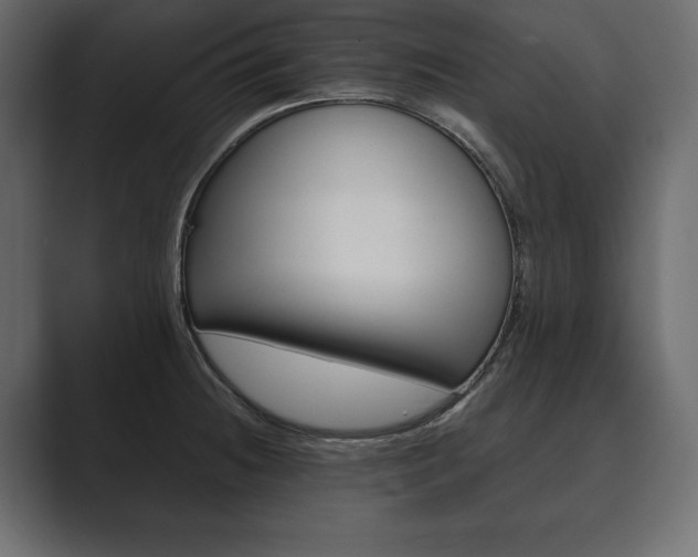 X0000089701236200706281448