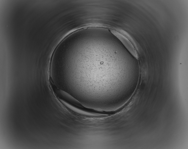 X0000089701244200706281448