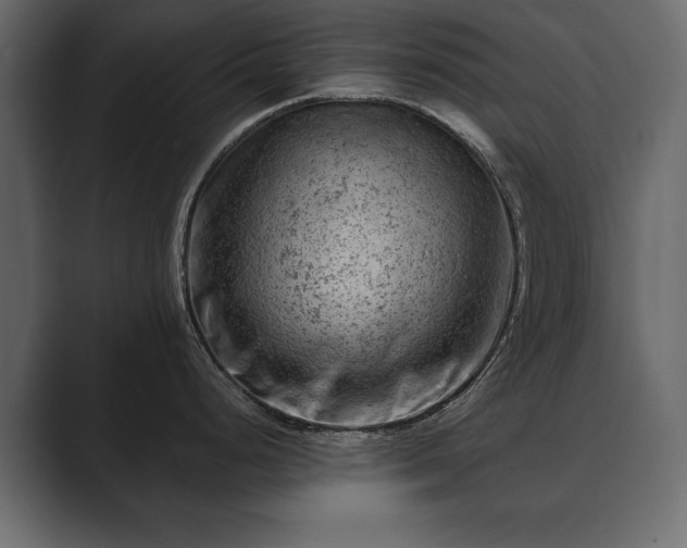 X0000089701248200706281448