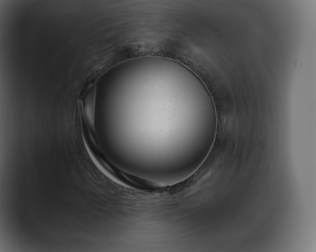 X0000089701250200706281448