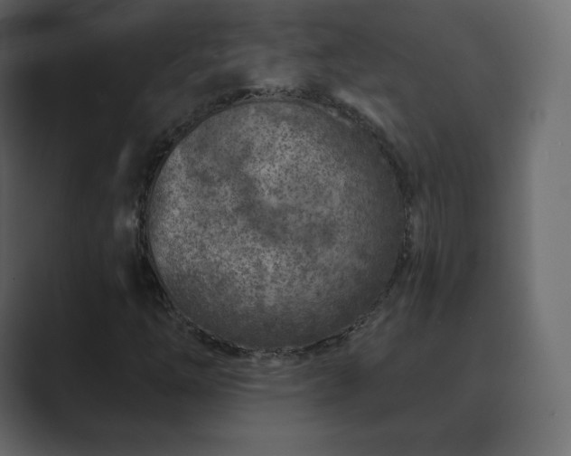 X0000089701254200706281448