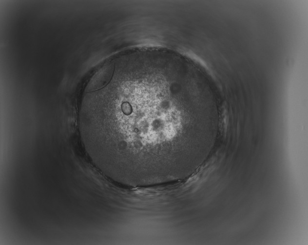 X0000089701255200706281448