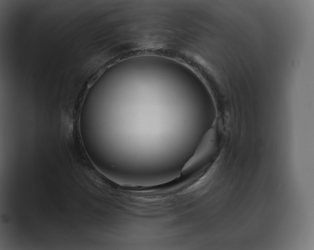 X0000089701257200706281448