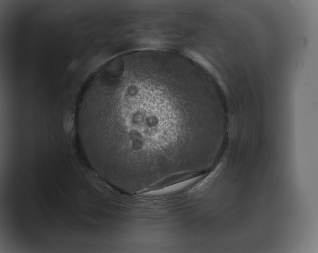 X0000089701259200706281448