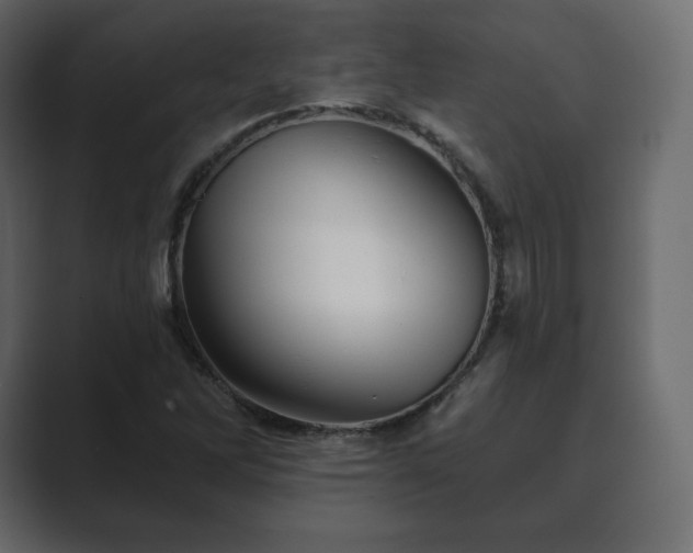 X0000089701262200706281448