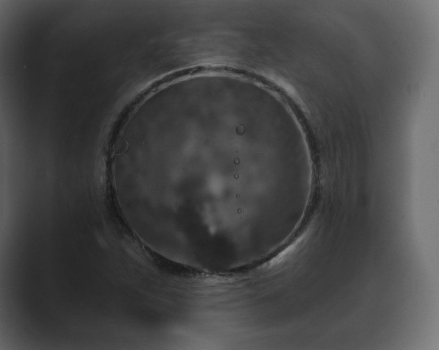 X0000089701263200706281448