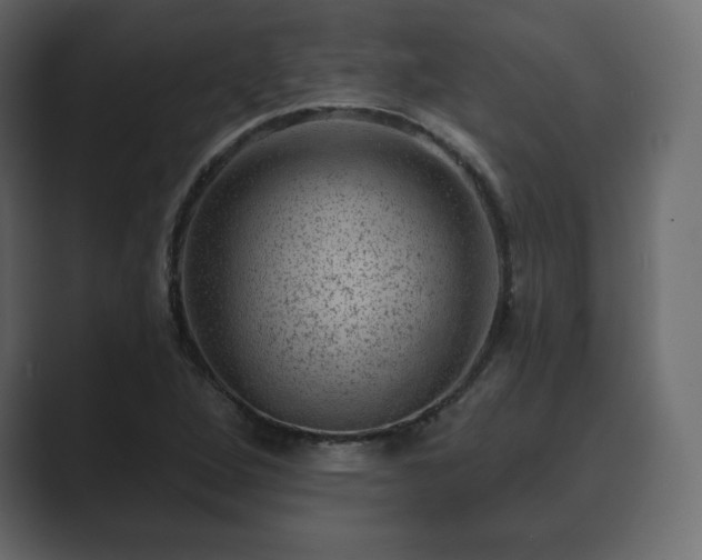 X0000089701264200706281448