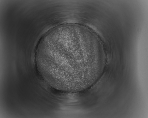 X0000089701266200706281448